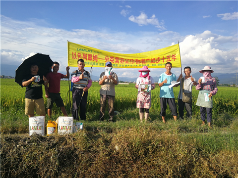 葉面肥，水稻灌漿肥，拉姆拉