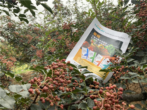 花椒種植，大量元素水溶肥，翠姆