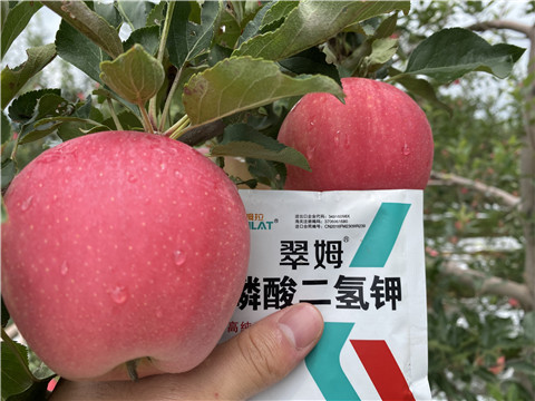 高鉀水溶肥，磷酸二氫鉀，拉姆拉，翠姆