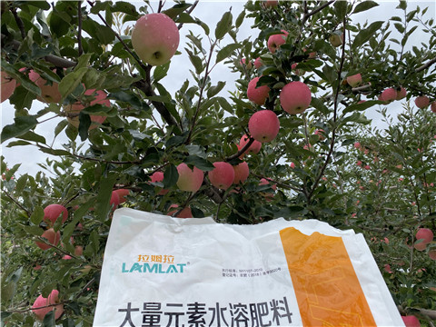 進(jìn)口水溶肥品牌，拉姆拉，翠姆