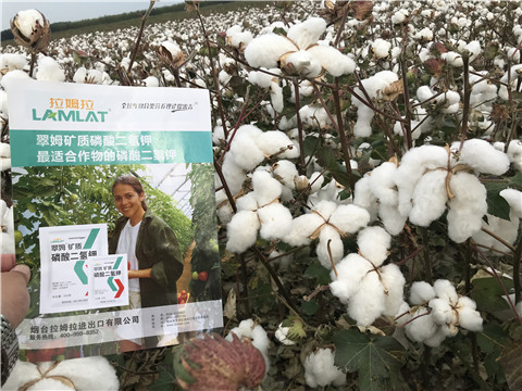 進(jìn)口水溶肥，翠姆，拉姆拉