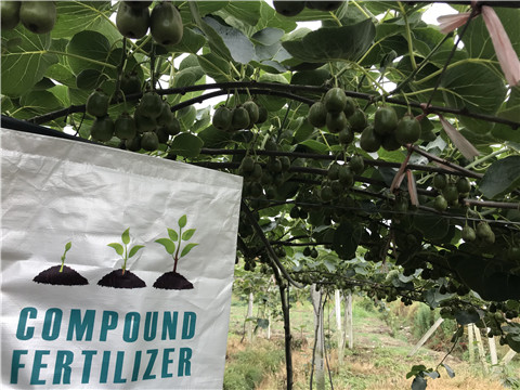 水溶肥，拉姆拉