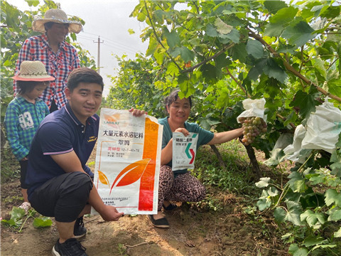 進(jìn)口水溶肥，拉姆拉