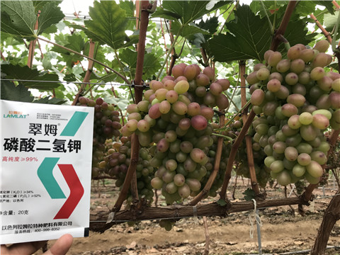 進(jìn)口水溶肥，拉姆拉