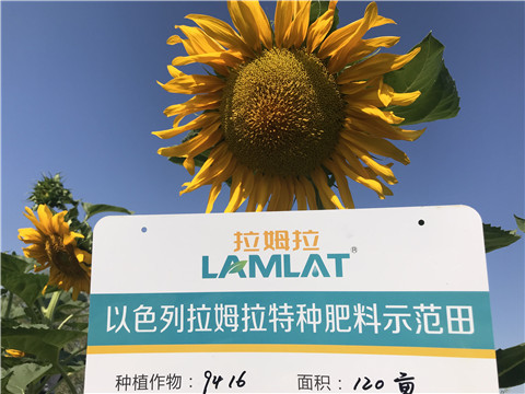 進(jìn)口水溶肥，拉姆拉