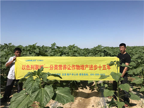 進(jìn)口水溶肥，拉姆拉