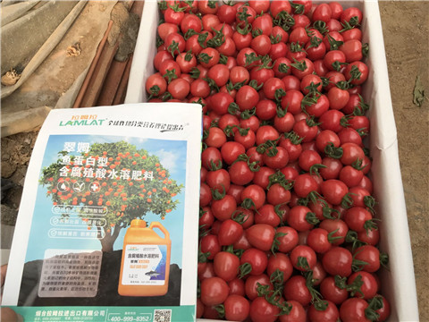 微生物菌劑，磷酸二氫鉀，翠姆，拉姆拉