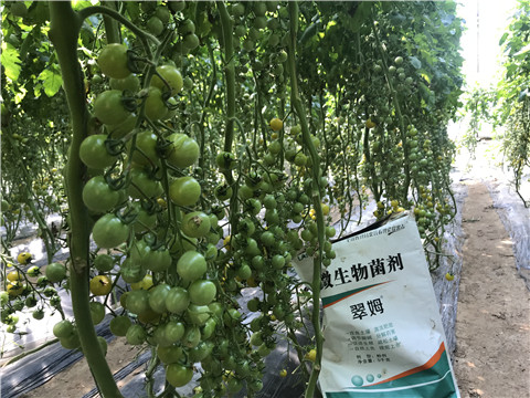 微生物菌劑，磷酸二氫鉀，翠姆，拉姆拉