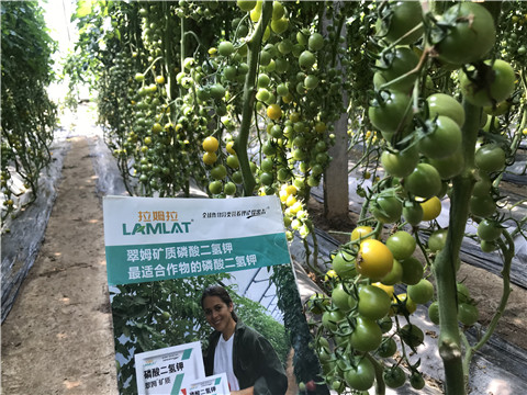 微生物菌劑，磷酸二氫鉀，翠姆，拉姆拉