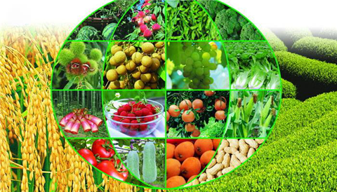 水溶肥，拉姆拉，翠姆