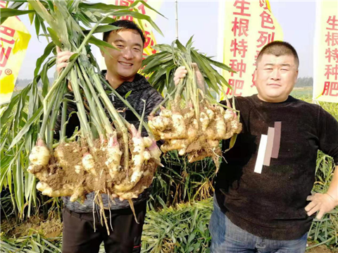 水溶肥，翠姆，拉姆拉