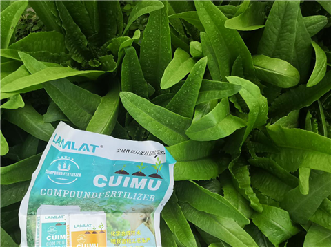 水溶肥，翠姆，拉姆拉