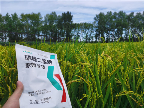 磷酸二氫鉀，拉姆拉，翠姆