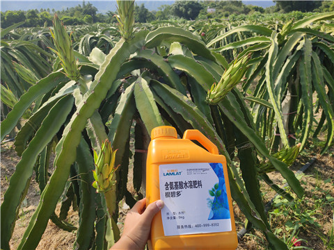 水溶肥，拉姆拉，翠姆