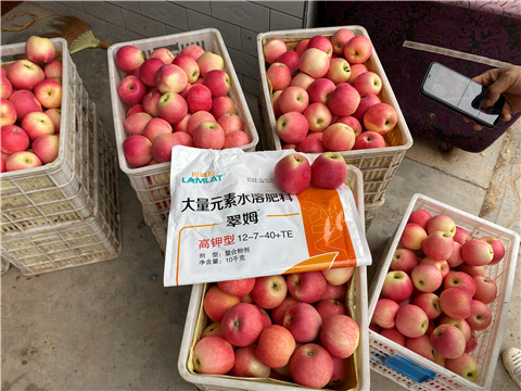 水溶肥，大量元素水溶肥，翠姆，拉姆拉