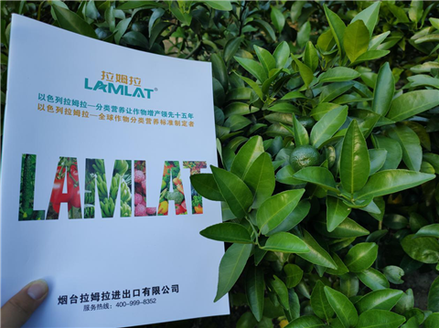 水溶肥，拉姆拉，翠姆