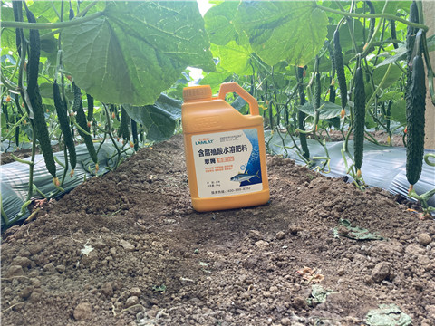 水溶肥，拉姆拉，翠姆