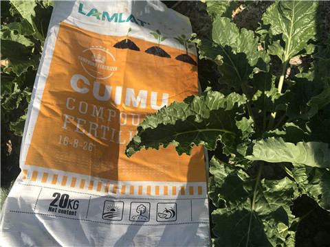 顆粒水溶肥，拉姆拉，翠姆