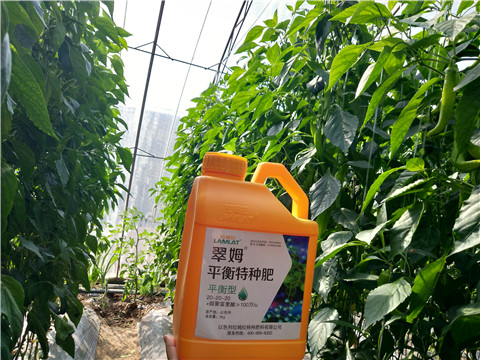 滴灌肥，拉姆拉，翠姆