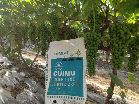 水溶肥，拉姆拉，翠姆