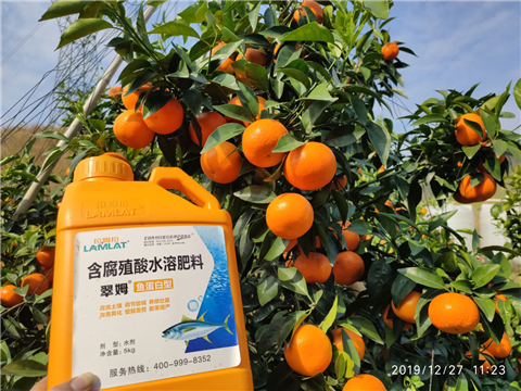 水溶肥，拉姆拉，翠姆