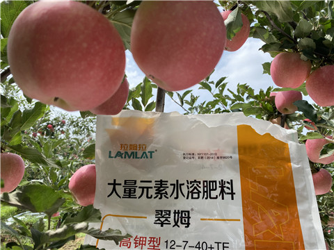 大量元素水溶肥，拉姆拉，翠姆