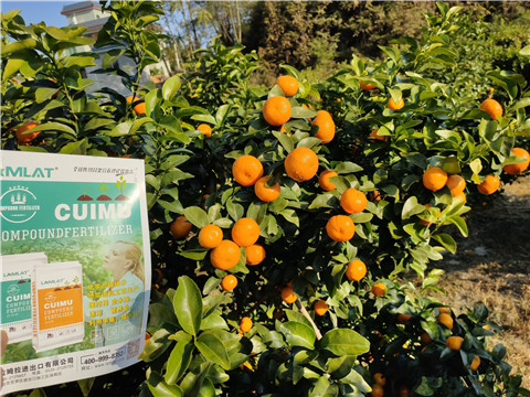 進(jìn)口水溶肥，拉姆拉，翠姆