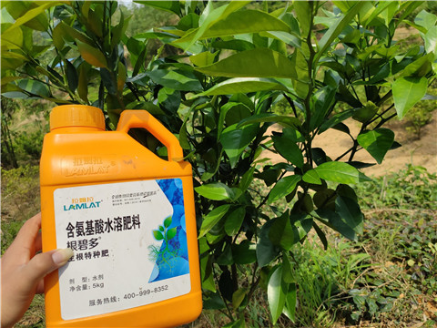 水溶肥，拉姆拉，翠姆