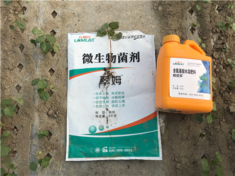 水溶肥，拉姆拉，翠姆