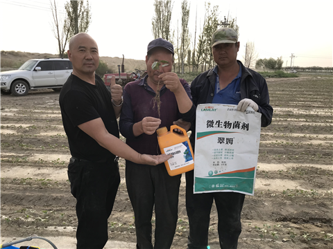 水溶肥，拉姆拉，翠姆