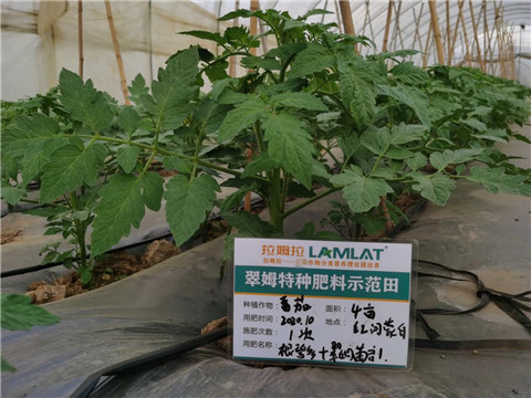 水溶肥，拉姆拉，翠姆