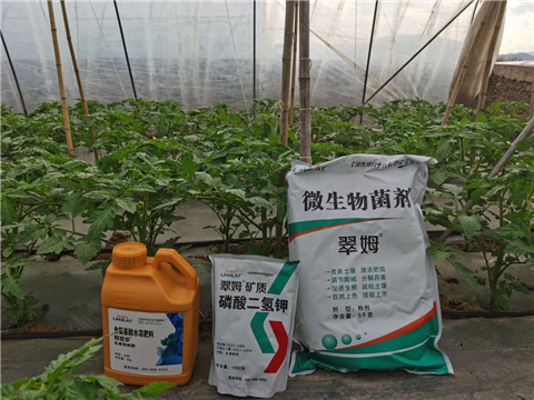 水溶肥，拉姆拉，翠姆