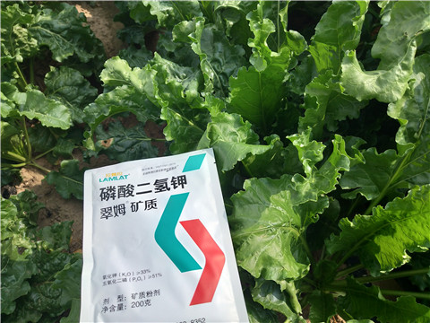 水溶肥，拉姆拉，翠姆