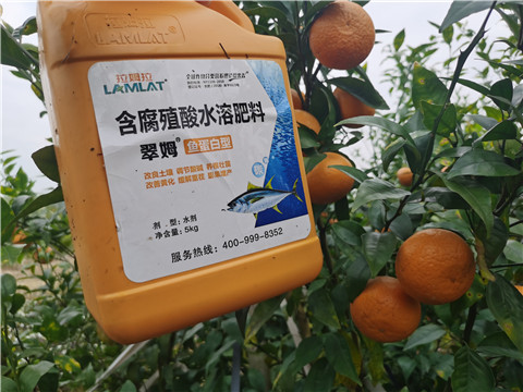 水溶肥，拉姆拉，翠姆