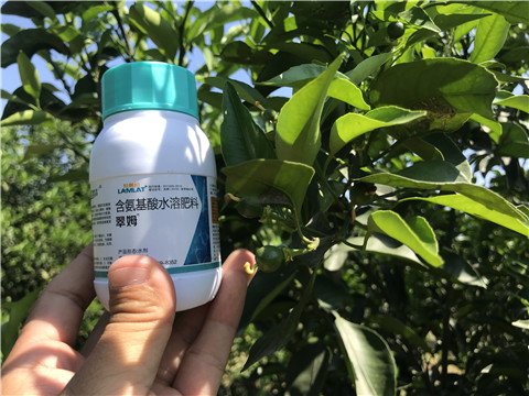 葉面肥，拉姆拉，翠姆