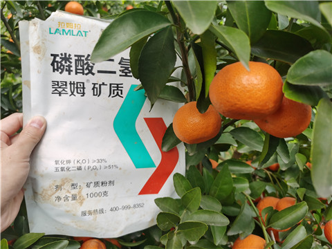 水溶肥，拉姆拉，翠姆