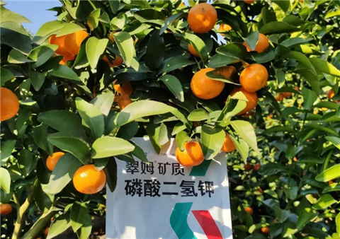 磷酸二氫鉀，拉姆拉，翠姆