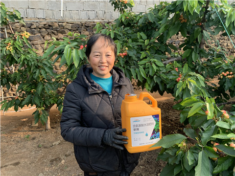 水溶肥，拉姆拉，翠姆