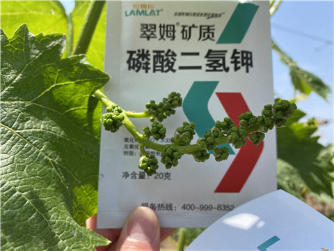 磷酸二氫鉀，拉姆拉，翠姆