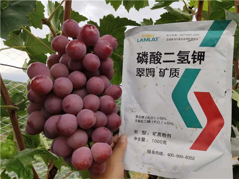 磷酸二氫鉀，拉姆拉，翠姆