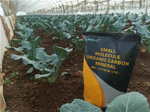 小分子有機(jī)碳，拉姆拉，翠姆