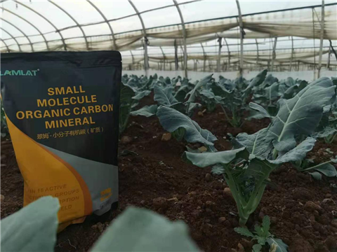 小分子有機(jī)碳，拉姆拉，翠姆