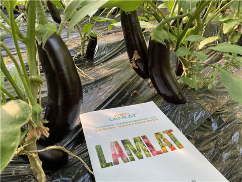 水溶肥，拉姆拉，翠姆