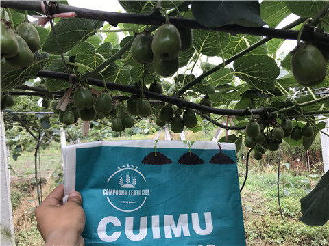 顆粒水溶肥，拉姆拉，翠姆