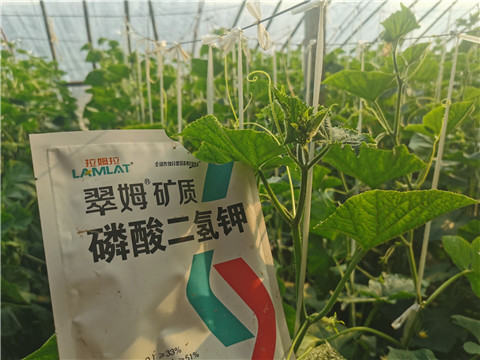 水溶肥，拉姆拉，翠姆