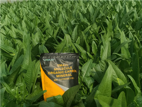 礦源黃腐酸鉀，拉姆拉，翠姆