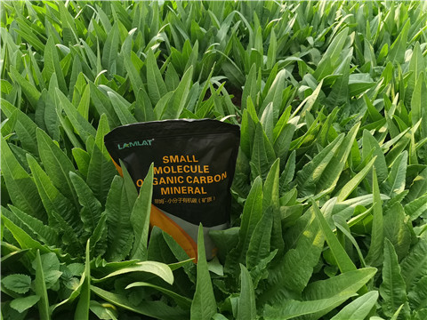 礦源黃腐酸鉀，拉姆拉，翠姆