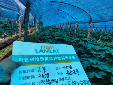 水溶肥，拉姆拉，翠姆