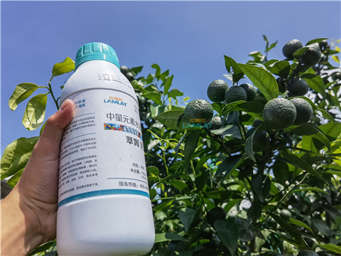 水溶肥，翠姆，拉姆拉