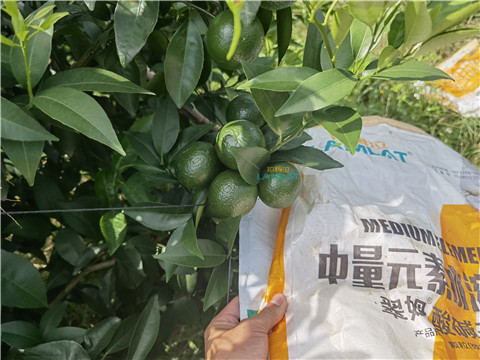 水溶肥，翠姆，拉姆拉